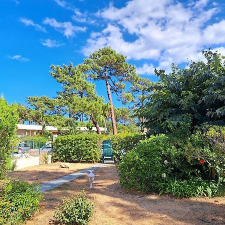 Mini Villa Jardin 50 M Plage Borgo  Luaran gambar
