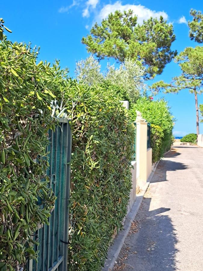 Mini Villa Jardin 50 M Plage Borgo  Luaran gambar