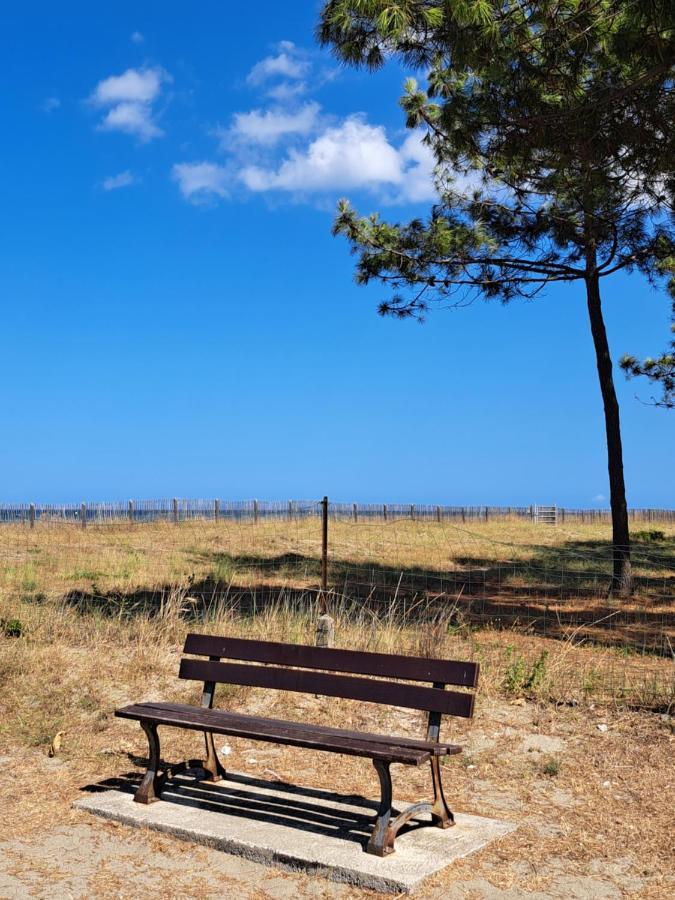 Mini Villa Jardin 50 M Plage Borgo  Luaran gambar