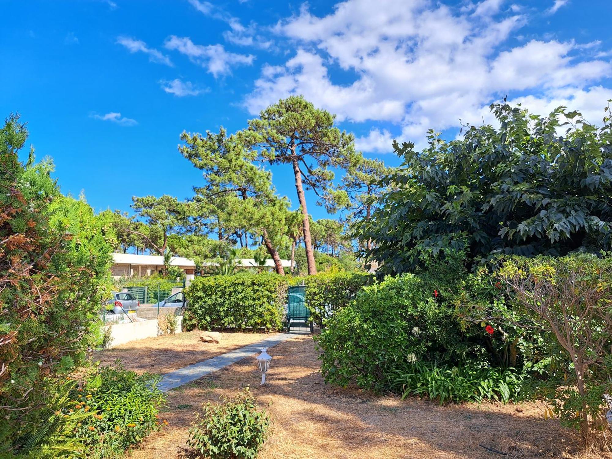 Mini Villa Jardin 50 M Plage Borgo  Luaran gambar