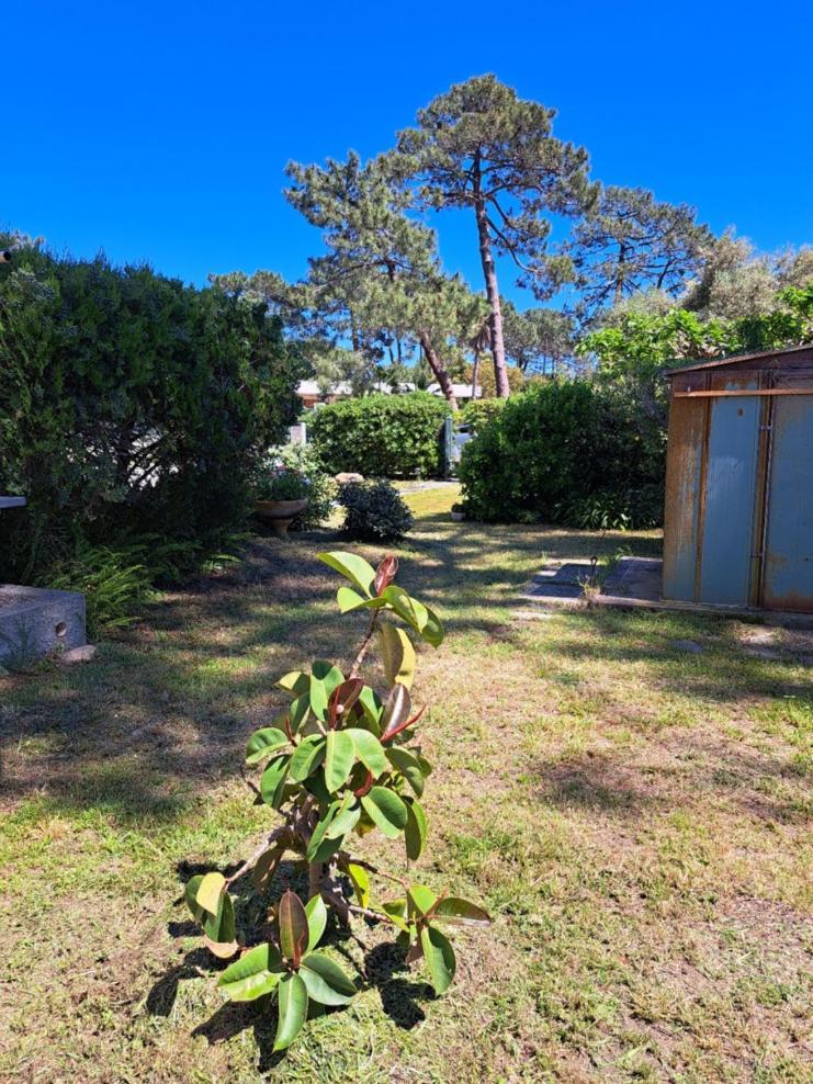 Mini Villa Jardin 50 M Plage Borgo  Luaran gambar